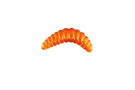 NM78001702 Nomura Honey worm 2cm 0.35g f.017 12ks/bal